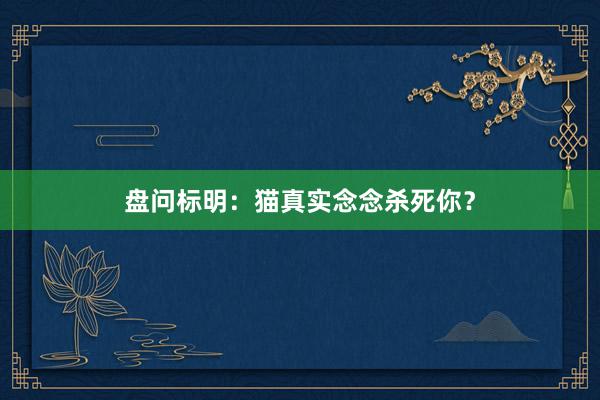盘问标明：猫真实念念杀死你？