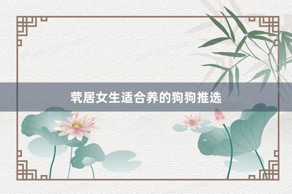 茕居女生适合养的狗狗推选