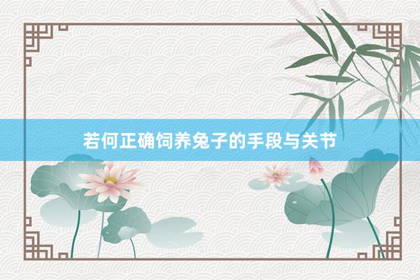 若何正确饲养兔子的手段与关节