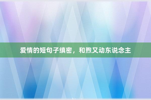 爱情的短句子缜密,和煦又动东说念主
